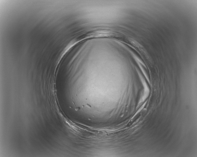 X0000060281473200511181309