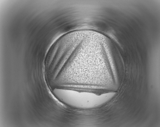 X0000060281476200511181309