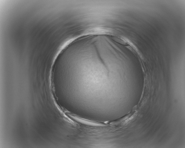 X0000060281477200511181309