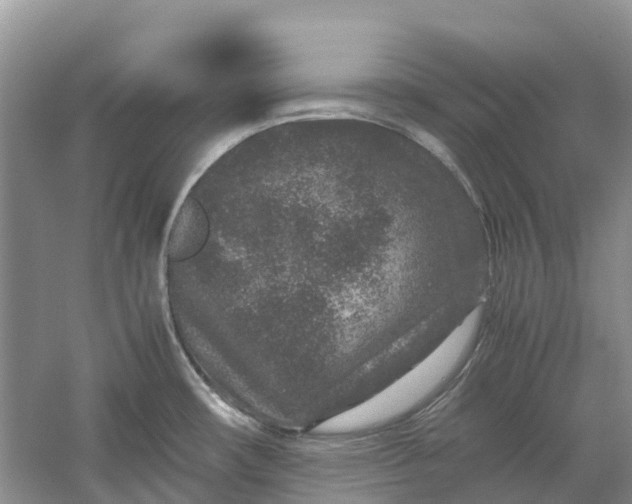 X0000060281482200511181309