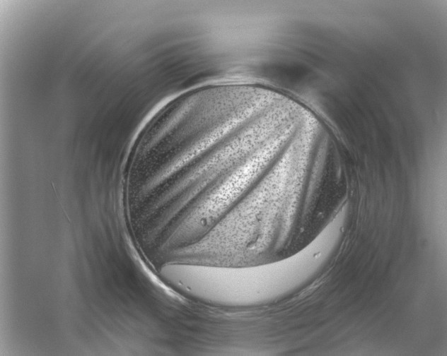 X0000060281484200511181309