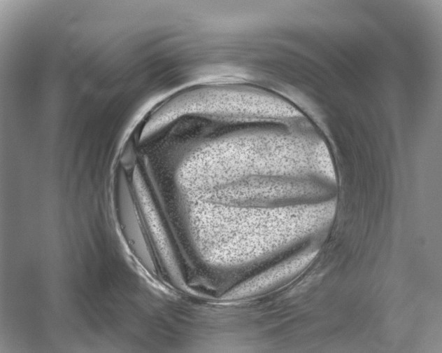X0000060281488200511181309
