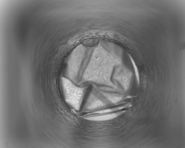 X0000060281489200511181308