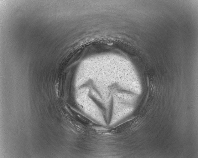 X0000060281490200511181308