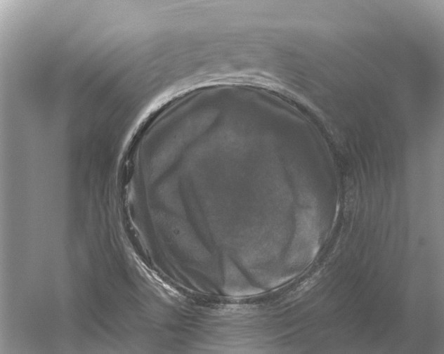 X0000060281506200511181308