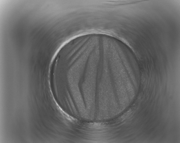 X0000060281508200511181308