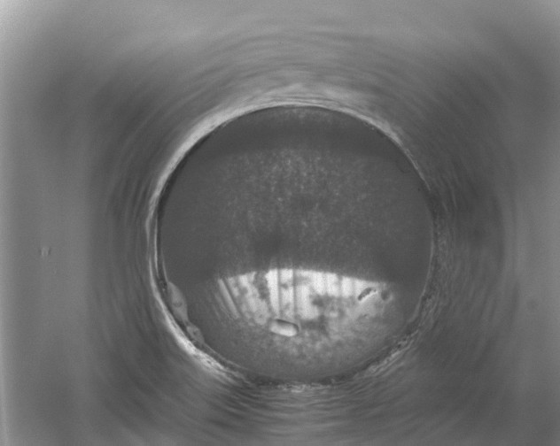 X0000060281515200511181309