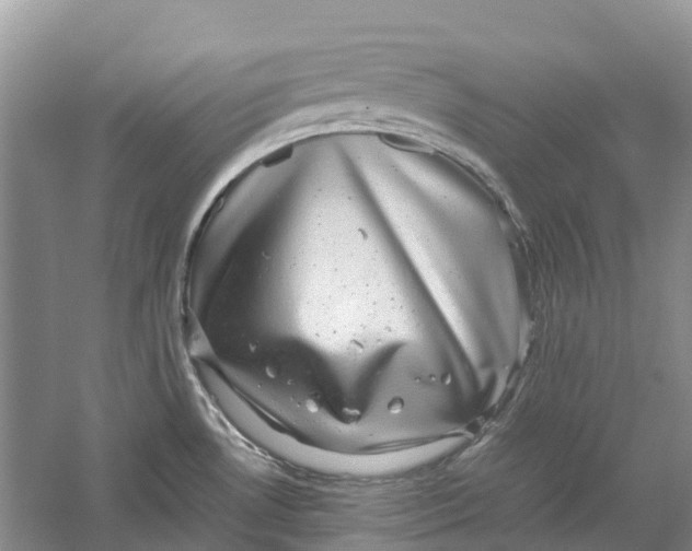 X0000060281530200511181309
