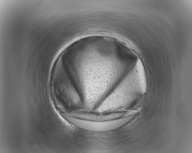 X0000060281536200511181309