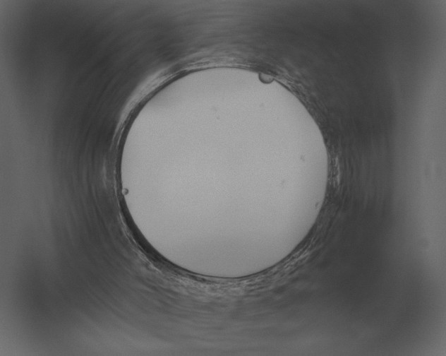 X0000060280004200511241534