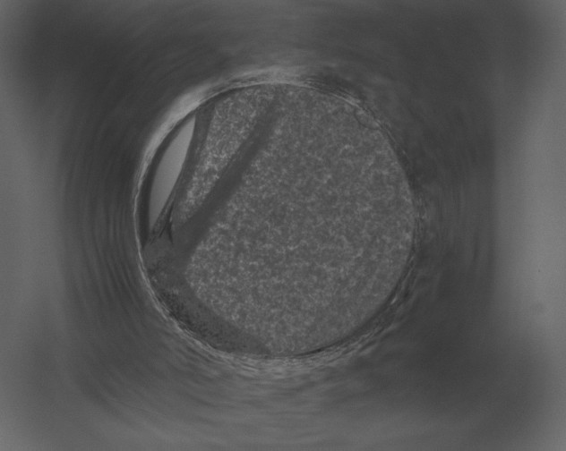 X0000060280006200511241534