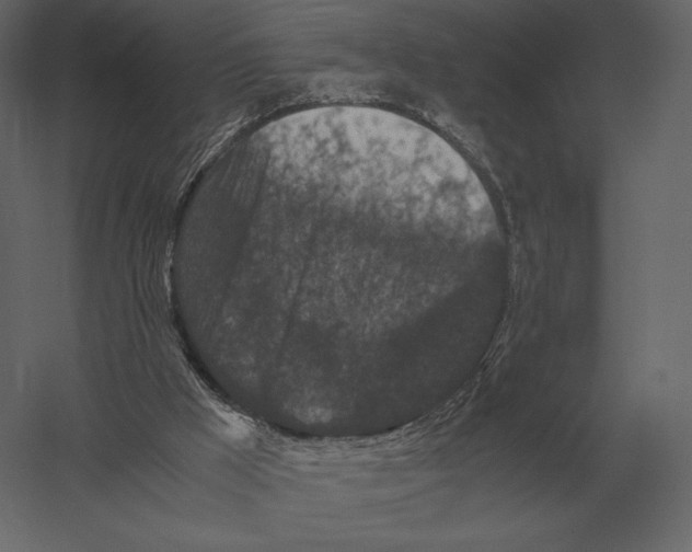 X0000060280009200511241534