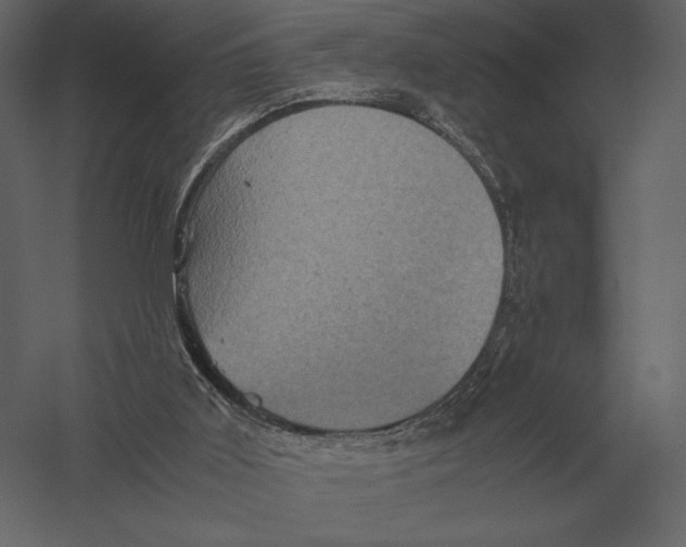 X0000060280011200511241534