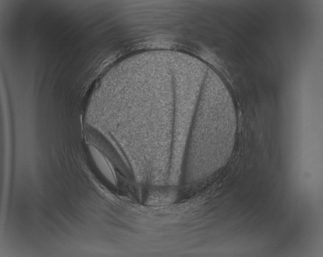 X0000060280013200511241534