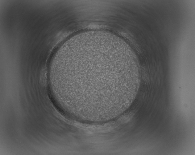 X0000060280016200511241533