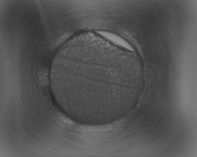 X0000060280017200511241533