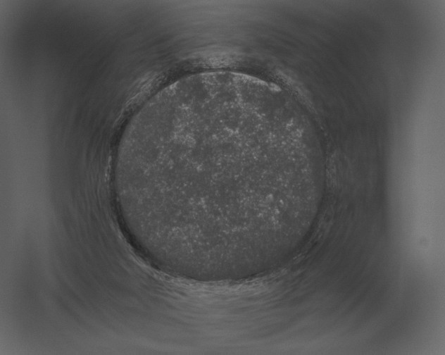 X0000060280018200511241533