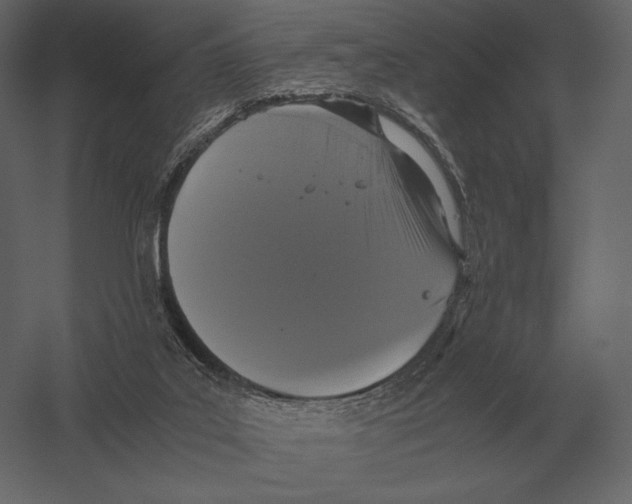 X0000060280019200511241533