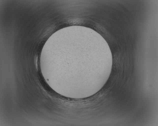 X0000060280024200511241533