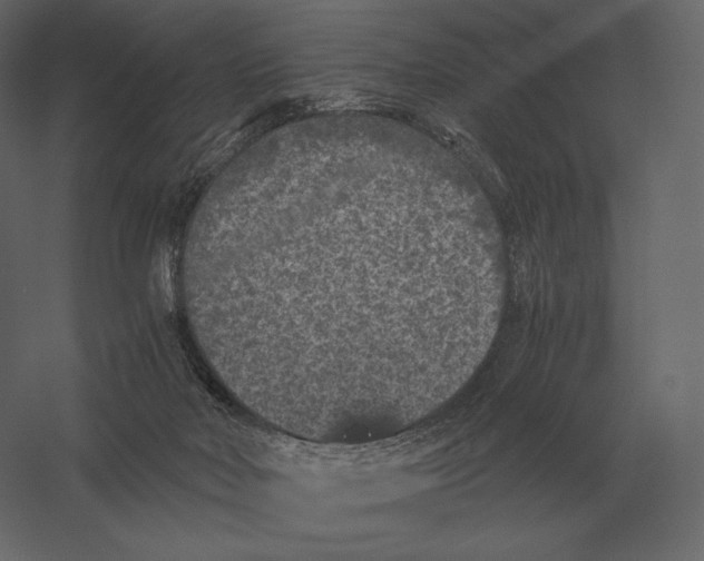 X0000060280026200511241533