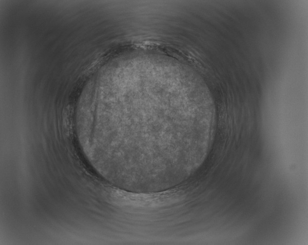 X0000060280030200511241533