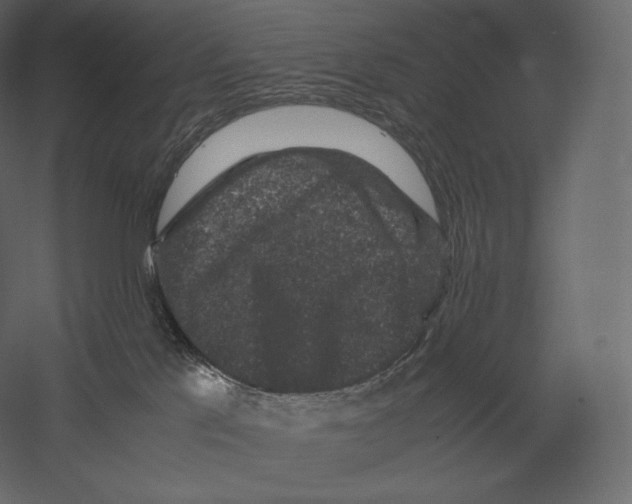 X0000060280041200511241533