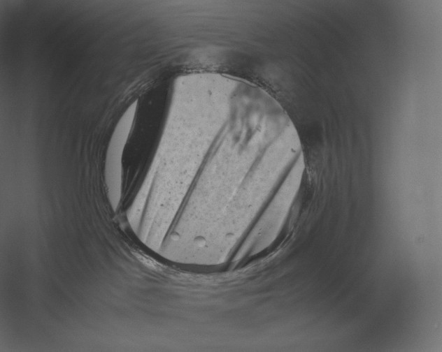X0000060280045200511241533