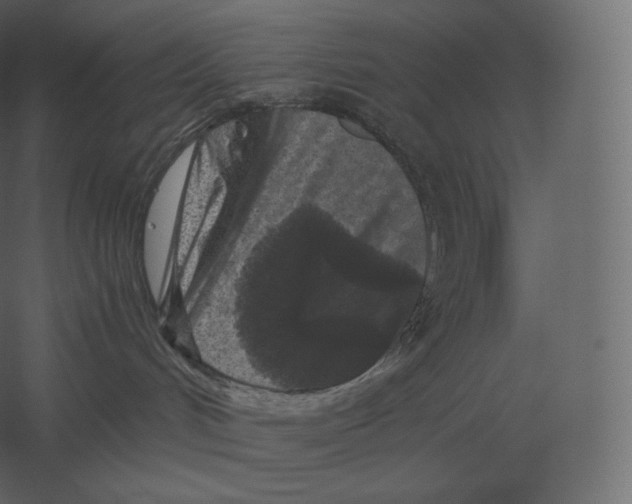 X0000060280048200511241533