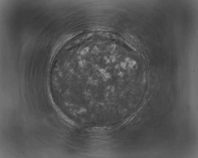 X0000060280049200511241532