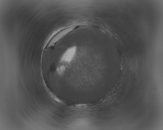 X0000060280052200511241532