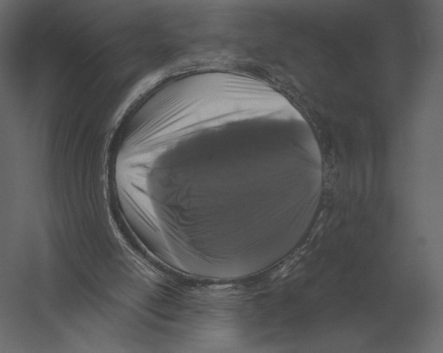 X0000060280054200511241532