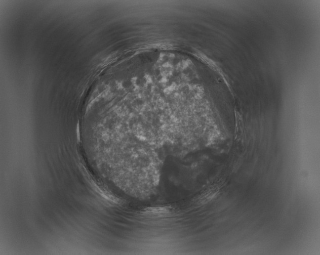 X0000060280061200511241532