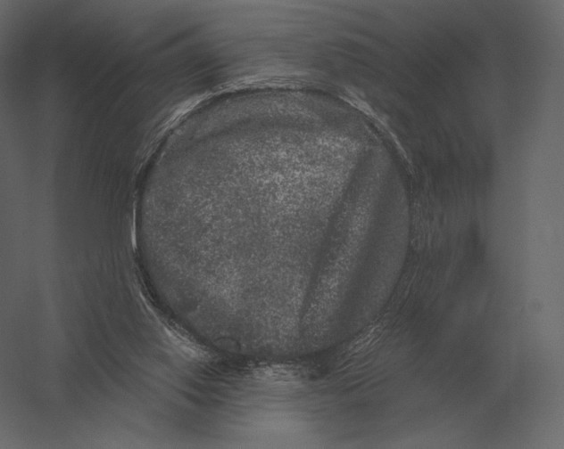 X0000060280062200511241532