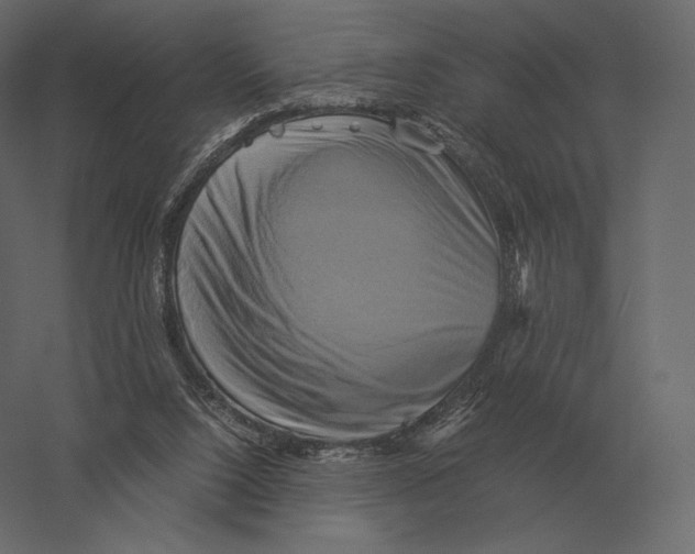 X0000060280064200511241532