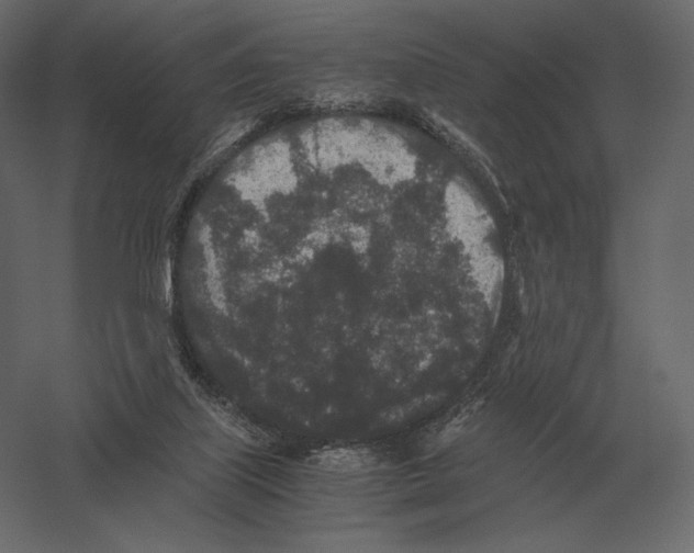 X0000060280067200511241532