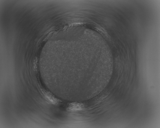 X0000060280073200511241533