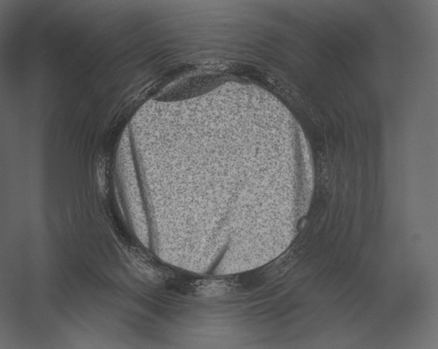 X0000060280074200511241533