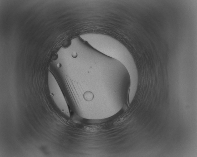X0000060280079200511241533