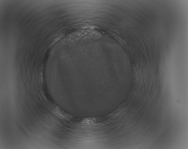 X0000060280080200511241533