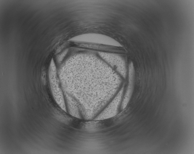 X0000060280090200511241533