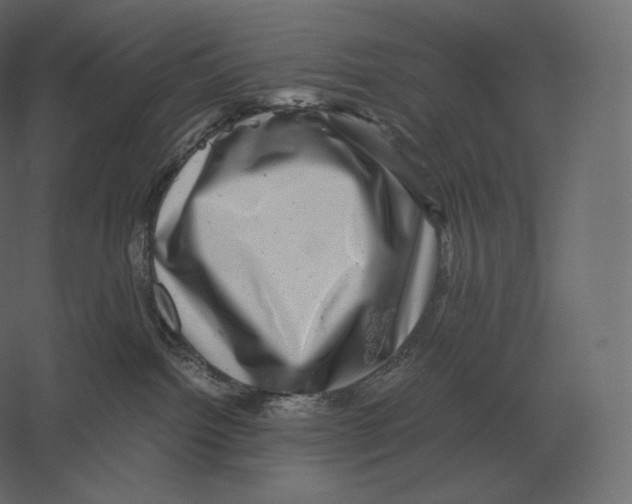 X0000060280092200511241533