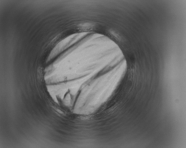 X0000060280093200511241533