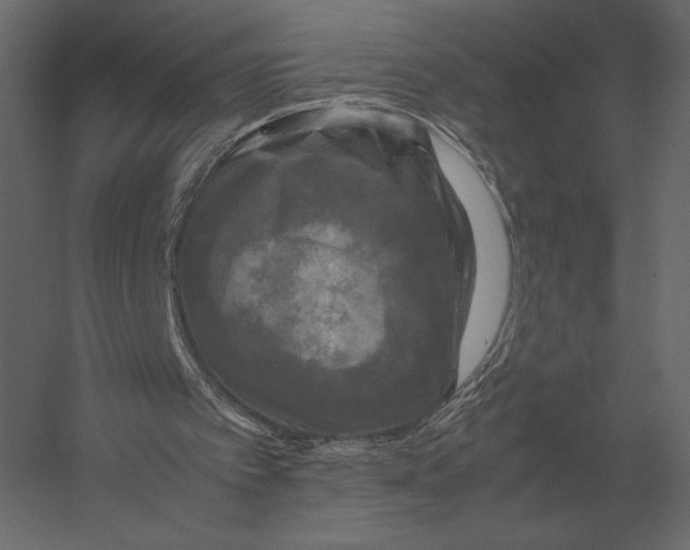 X0000060280097200511241532