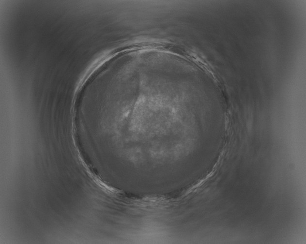 X0000060280101200511241532