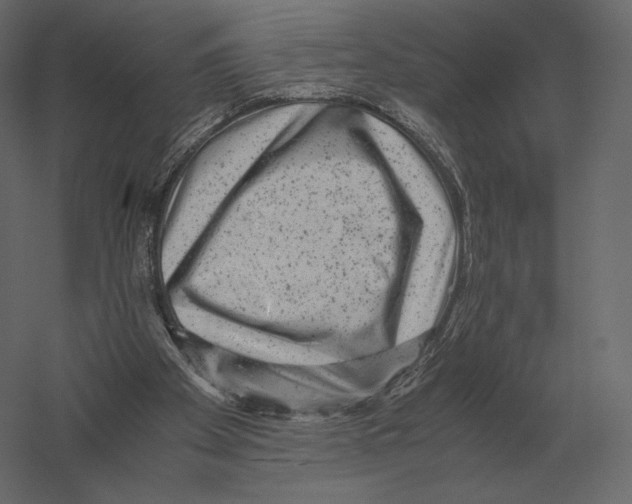 X0000060280105200511241532