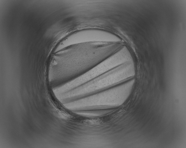 X0000060280107200511241532