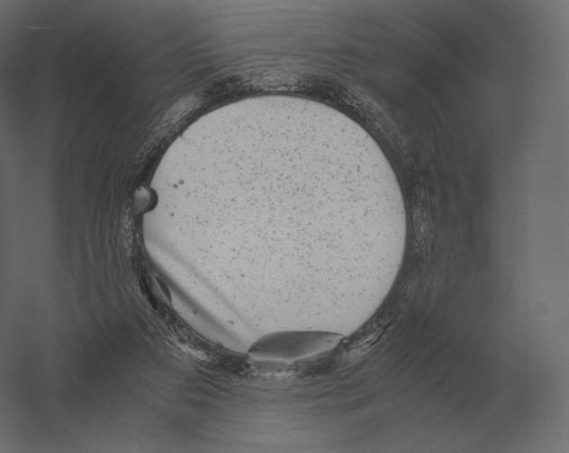 X0000060280113200511241532