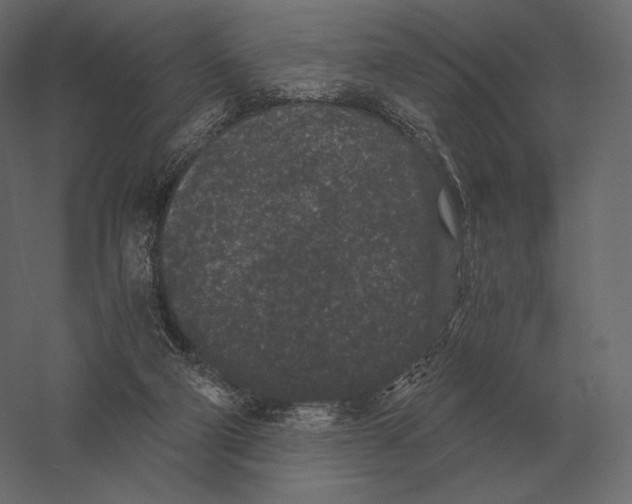 X0000060280114200511241532