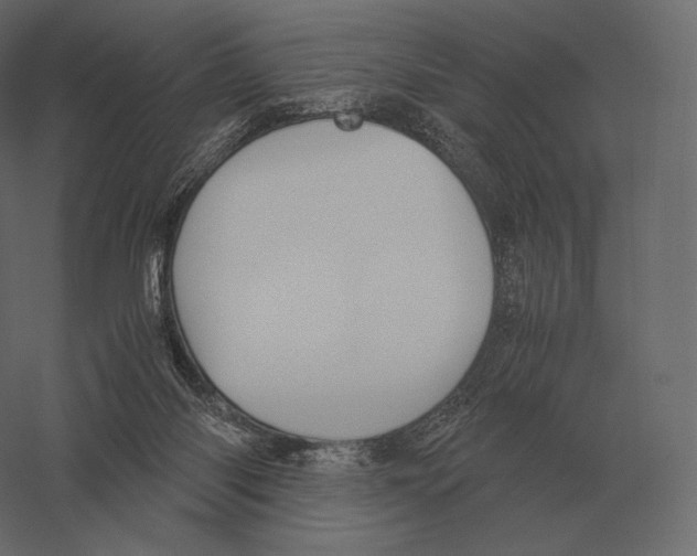 X0000060280118200511241532