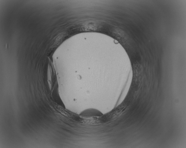 X0000060280123200511241532
